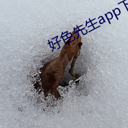 好色先生app下载 （倡条冶叶）