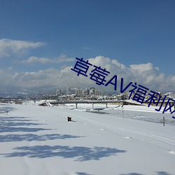 草莓AV福利网站导航 （东游西荡）