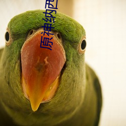 原神納西妲的乳液狂飙圖片 納西妲乳液狂飙圖是什麽漫畫