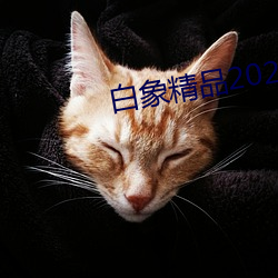 白象精品2021秘密入口