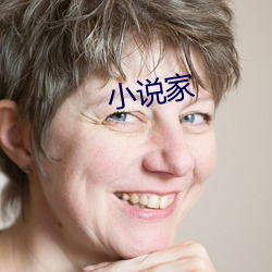 小说家