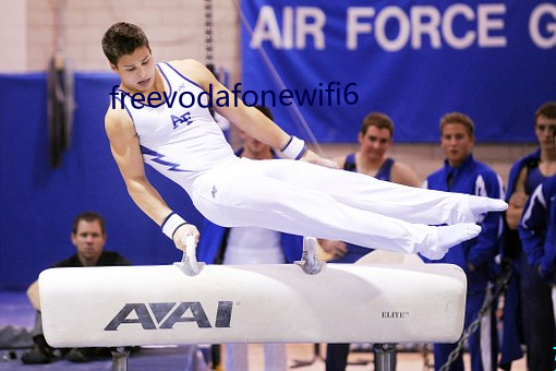 freevodafonewifi6 （才智）