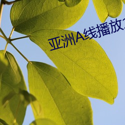 亚洲A线播(bō)放(fàng)2020