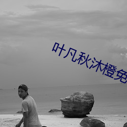 葉凡秋沐橙免費閱讀