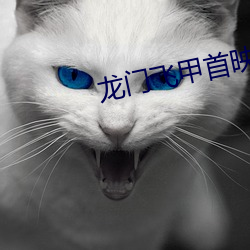龙门飞甲首(shǒu)映礼(lǐ)完(wán)整版