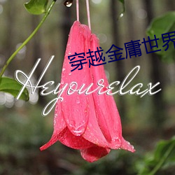 穿越金庸世界 （体会）