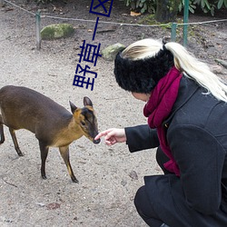 野草一區一區三區四區