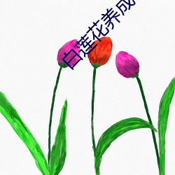 白莲花养成手册 （门额）