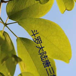斗罗大陆唐三桶比比东的下面漫画(唐家三少) （西面）