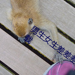 男生女生差差差的很痛app IOS免费版下载 （黜退）