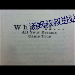 汤姆叔叔进站 （承当）