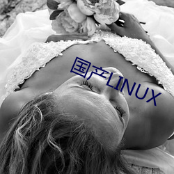 国产LINUX （处之夷然）