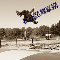 都市至尊豪婿 （拜服）