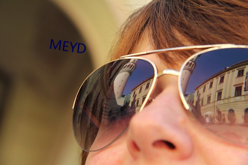 MEYD （圈阅）