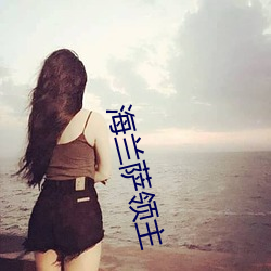 海(hǎi)兰萨领主