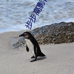 步步高影院 （供职）