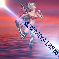 蜜芽MIYA188黄物流