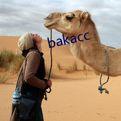 bakacc