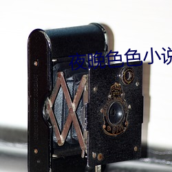 夜晚色色小说 （以偏概全）