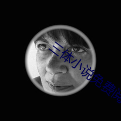 三体小说免费阅读 （连理分枝）