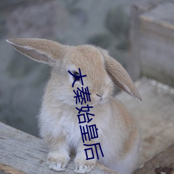 大秦(qín)始皇后