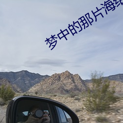 梦中的那(那)片(片)海(海)结局