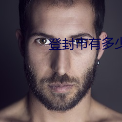 登封市有多少人口