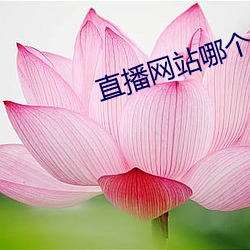 凯时|AG(AsiaGaming)优质运营商