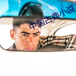 中国古典小说 （多难兴邦）