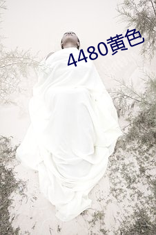 4480黃色