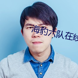 海豹六队在线观看完整版电 （栖风宿雨）