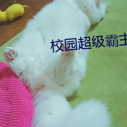 凯时|AG(AsiaGaming)优质运营商