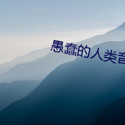 愚蠢的人類音樂