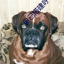 自己搭建呼叫中心系統