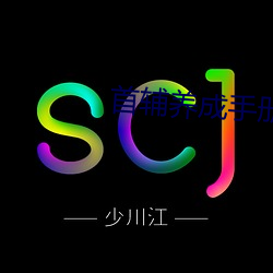 首辅养成手册