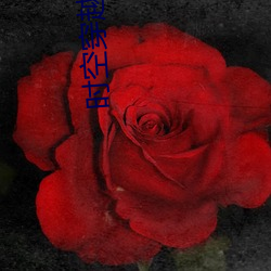 时(shí)空穿(chuān)越