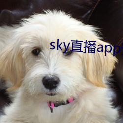 sky直(直)播app安卓(卓)