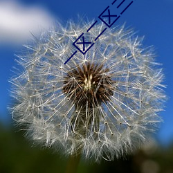 一(一)区二(二)区(區)三区