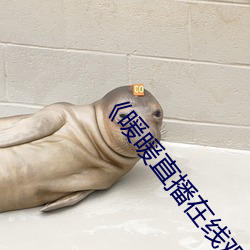 《暖(暖)暖直播在(在)线观看(看)免费(費)高(高)清》