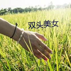 双头美女(nǚ)