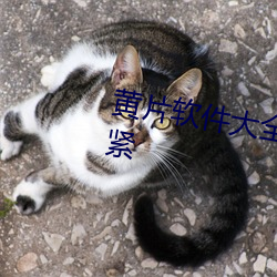 黃片軟件大全免費 的下載出不要緊