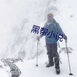 黑(hēi)帮小说