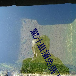 尊龙凯时-人生就是搏!