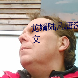龙婿陆凡唐浣溪免费全文阅读全文