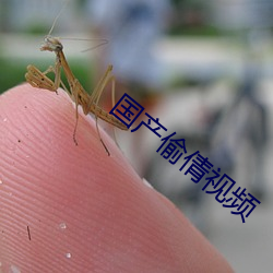 国产偷倩(qiàn)视频