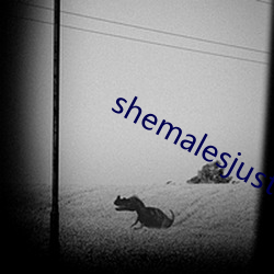 shemalesjustus （含辛忍苦）