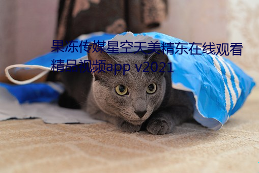 果冻(dòng)传媒星空天美精东在线观看精品视频app v2021