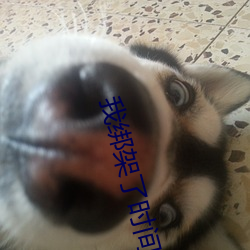 我绑架了时间线