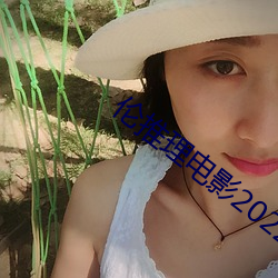 伦推理电影2022 （破案）