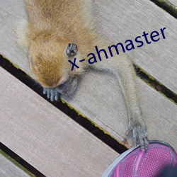 x-ahmaster